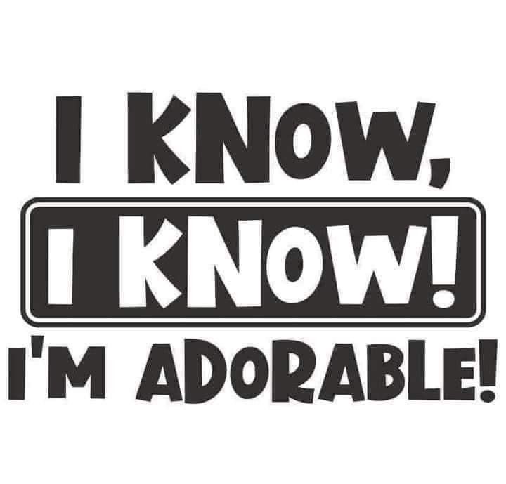 I Know, I Know! I’m Adorable – Women’s Cotton T-Shirt